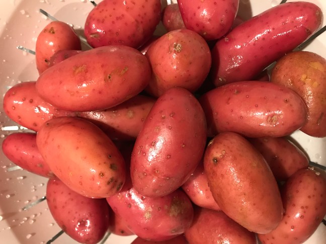 4C07088D-26BA-47CD-B19A-8C31C5CA7A33