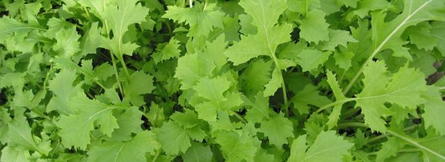 930C5AC7-FD82-4601-BD6E-F5E3548A4C8C