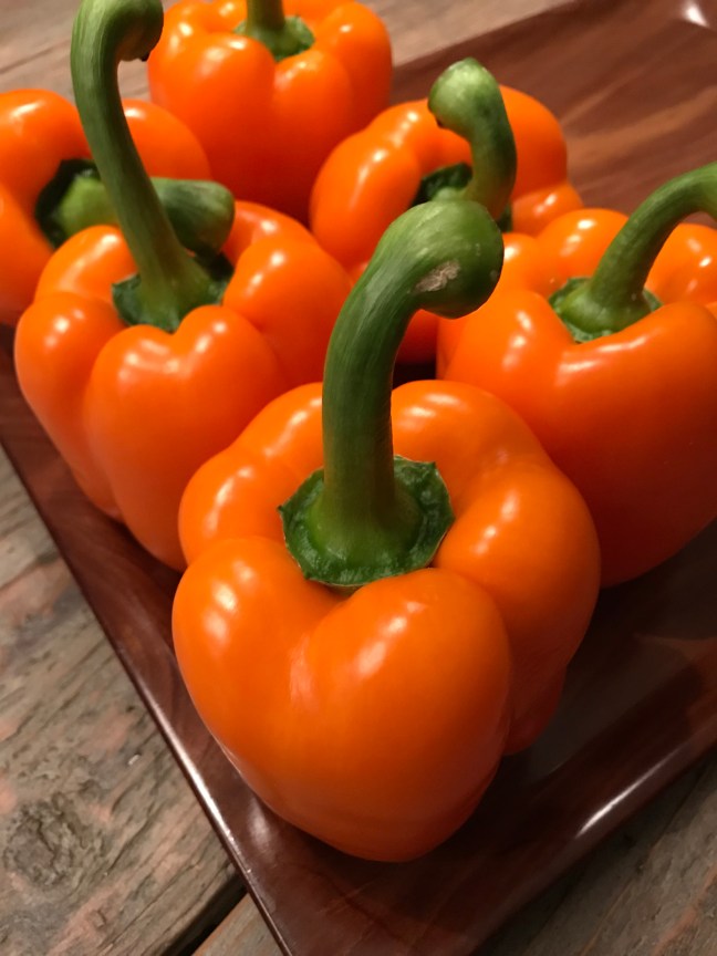 AA2F8720-3177-49F1-9019-190750949189